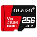 256 GB