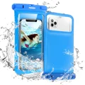 Blue Dry Case
