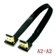 A2-A2