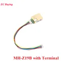 Z19B con Terminal