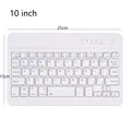 10 pulgadas Blanco