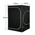 tent 120x120x200