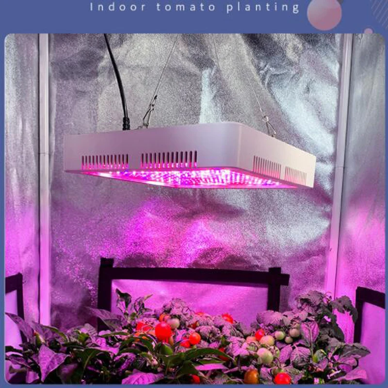 Fitolampy 300W LED espectro completo para cultivo interior - imagen 5