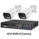 4CH NVR and 2 Camera