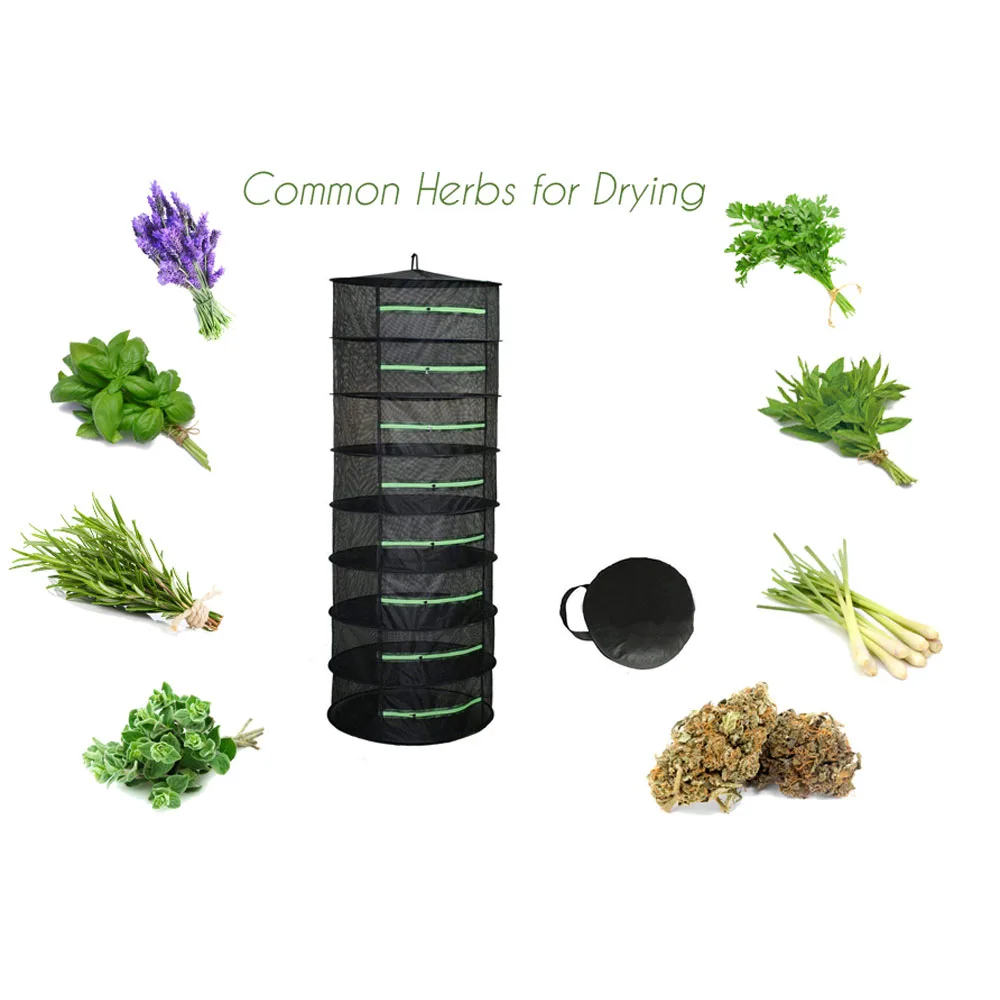 Red de secado de 2-8 capas para hierbas, cesta colgante de pescado, estante plegable para secado de hierbas y verduras, bolsa de malla para flores, brotes y plantas, Organizador - imagen 5
