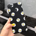 daisy-P029