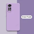 Grass Purple