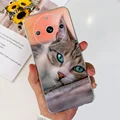 case-c33