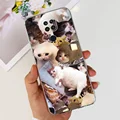 case-c34