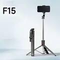 F15  170cm