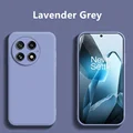 Lavender Grey