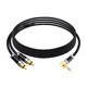 3.5mm to 2Rca