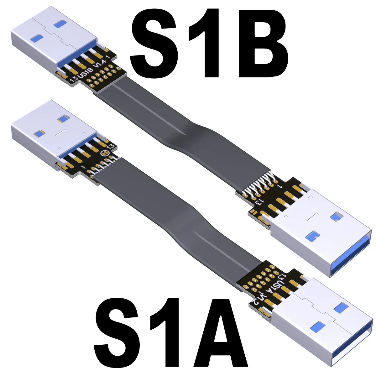S1A-S1B