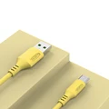 Type-c Yellow