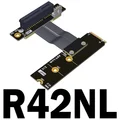 R42NL