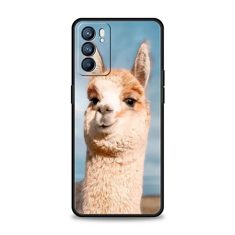 Funda de teléfono Kawaii Alpaca lovely para Oppo Reno8 Reno7 Reno6 Pro A54 5G Find X6 X5 A53 A52 A9 A15 A95 A17 A16 A76 A57 A31 - imagen 4