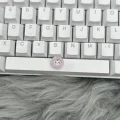 white keycap-3
