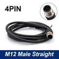 Straight male 4p
