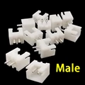 100Pcs 2Pin Male