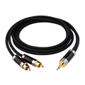 3.5mm to 2RCA