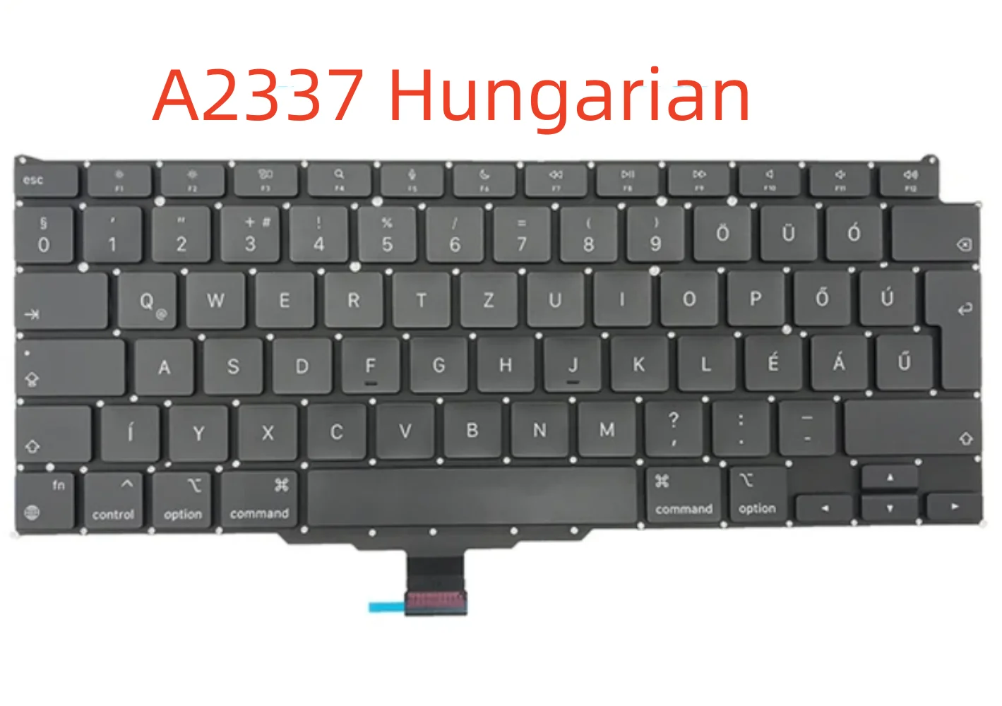 A2337 Hungarian