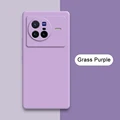 Grass Purple