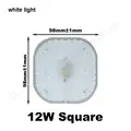 Square 12W