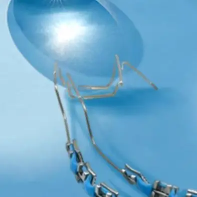 Decoración dental temporal, aparatos dentales falsos, aparatos ortopédicos, soporte de Metal Dental, accesorios de práctica para estudiantes dentales - imagen 5