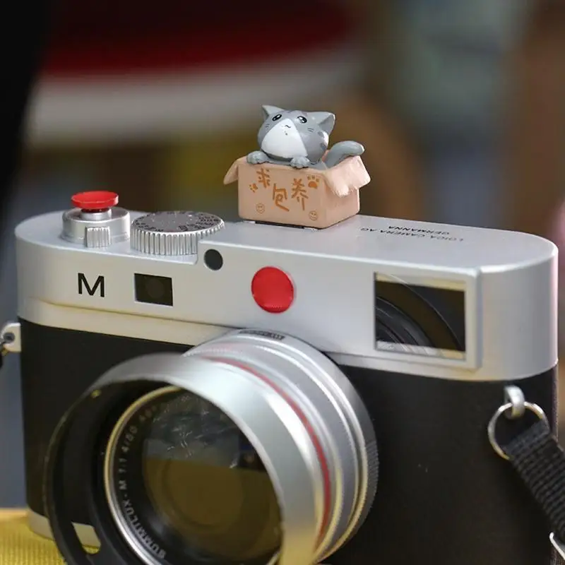 1 unidad dibujos animados creativos para cámaras marcha atrás individuales, cubierta protectora linterna cámara gato, cubierta Flash - imagen 4