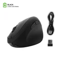 Black mouse
