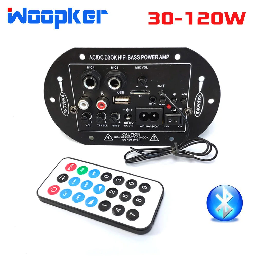 Woopker-placa amplificadora D3 Mono Max 120W con Bluetooth, Radio FM, módulo de amplificador de Audio de 11V/ 220V/ 12V/ 24V