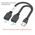 USB 1-to-2 straight