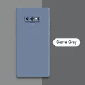 Sierra Gray