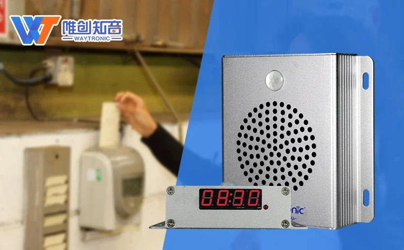 Reproductor de voz reemplazable con visualización de tiempo con detección de movimiento humano y reproducción de sincronización - imagen 5