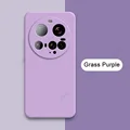 Grass Purple
