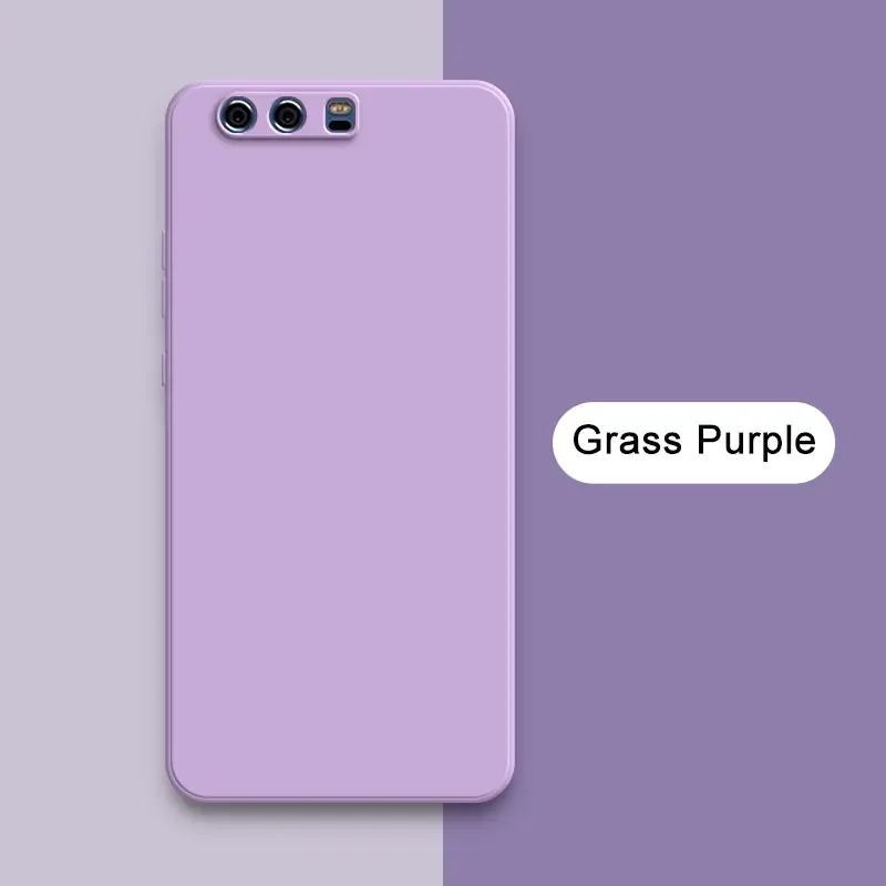Grass Purple