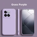 Grass Purple