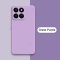 Grass Purple