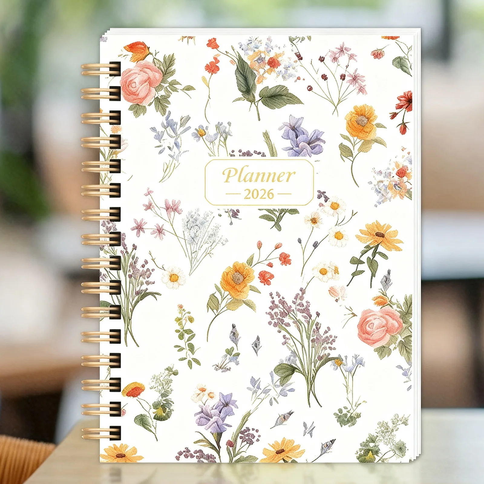 Cuadernos y Blocs de Notas