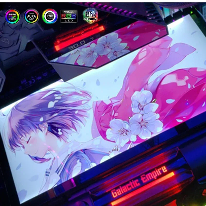 Panel de placa trasera GPU, tablero de luz ARGB de chasis para decoración de PC, Panel lateral de tarjeta gráfica personalizado ARGB/RGB/Molex colorido - imagen 4