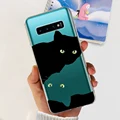 case-c25