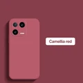 Camellia red
