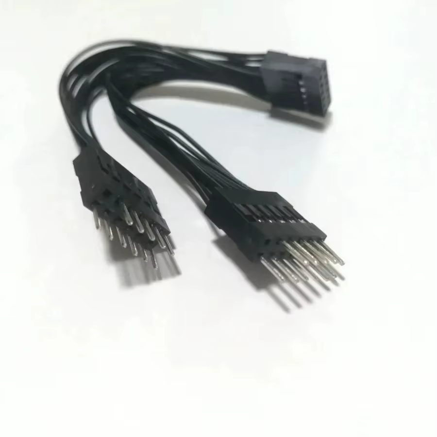 Cable Extensión USB 11 Pines Y para Placa Base Lenovo