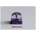 Capricornus