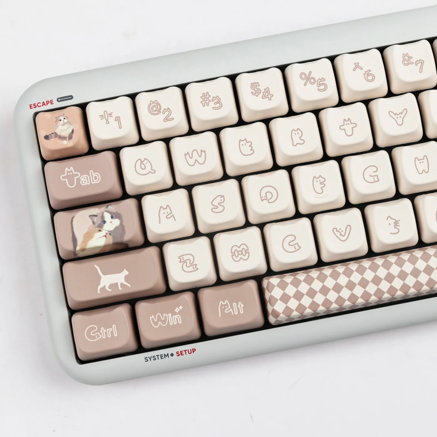 Teclas de gato adhesivas, 144 teclas, Material PBT, perfil MAO, DYE-SUB Wooting, personalizadas para teclado mecánico CHERRY MX Switch - imagen 5