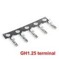 GH1.25 Terminal