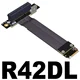R42DL
