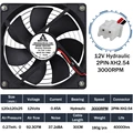 Hydraulic 12V 3000