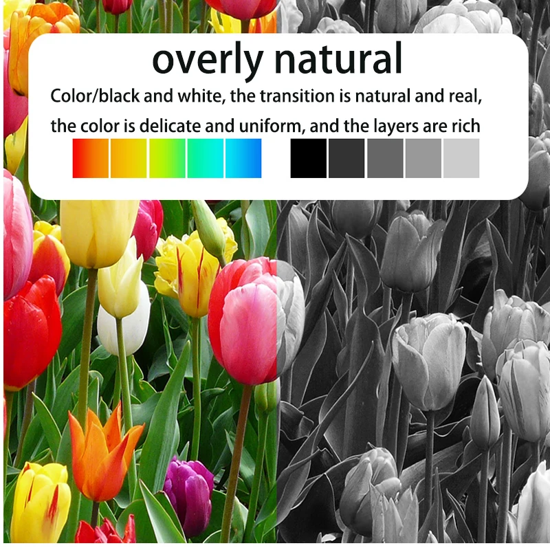 Vilaxh T603XL 603XL cartucho de tinta recargable + tinta de tinte para Epson T603 XL XP-2100 XP-2105 XP-3100 XP-3105 XP-4100 XP-4105 WF-2810 - imagen 5