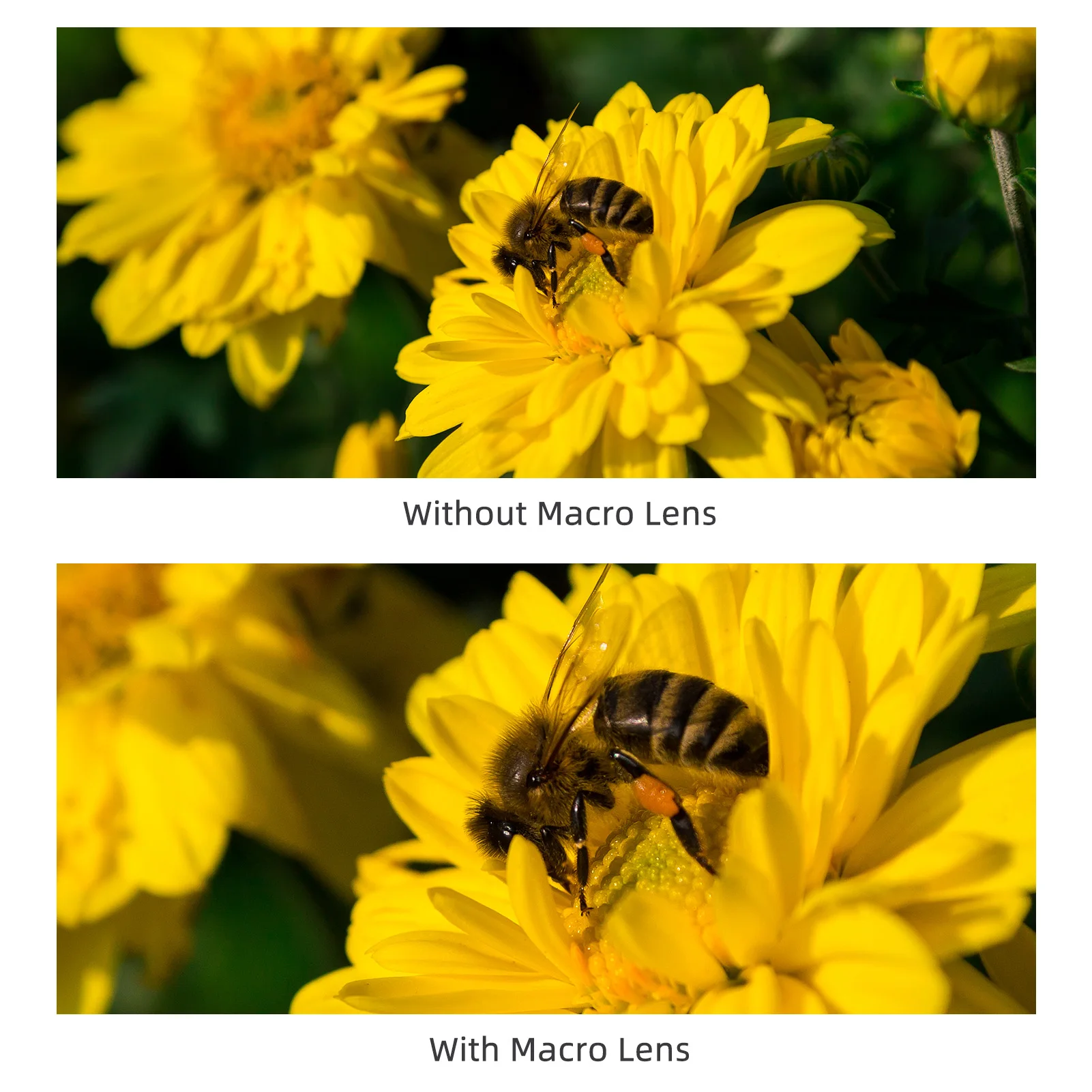 【11.11 Oferta】Kit de lentes de 58 mm Gran angular 0,43X + macro, reemplazo de aleación de aluminio para la serie 70D/80D/T7/T6 - imagen 4